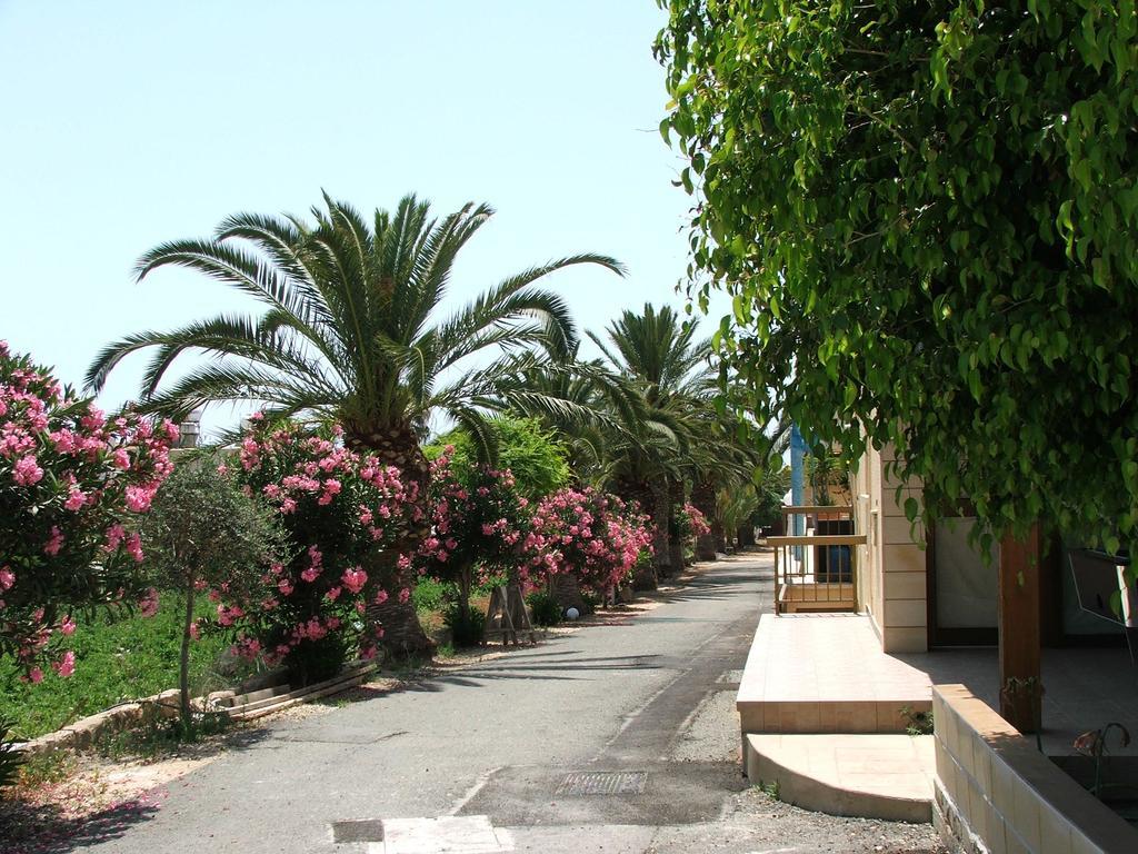 Dimma Seaside Houses Paphos Exteriér fotografie