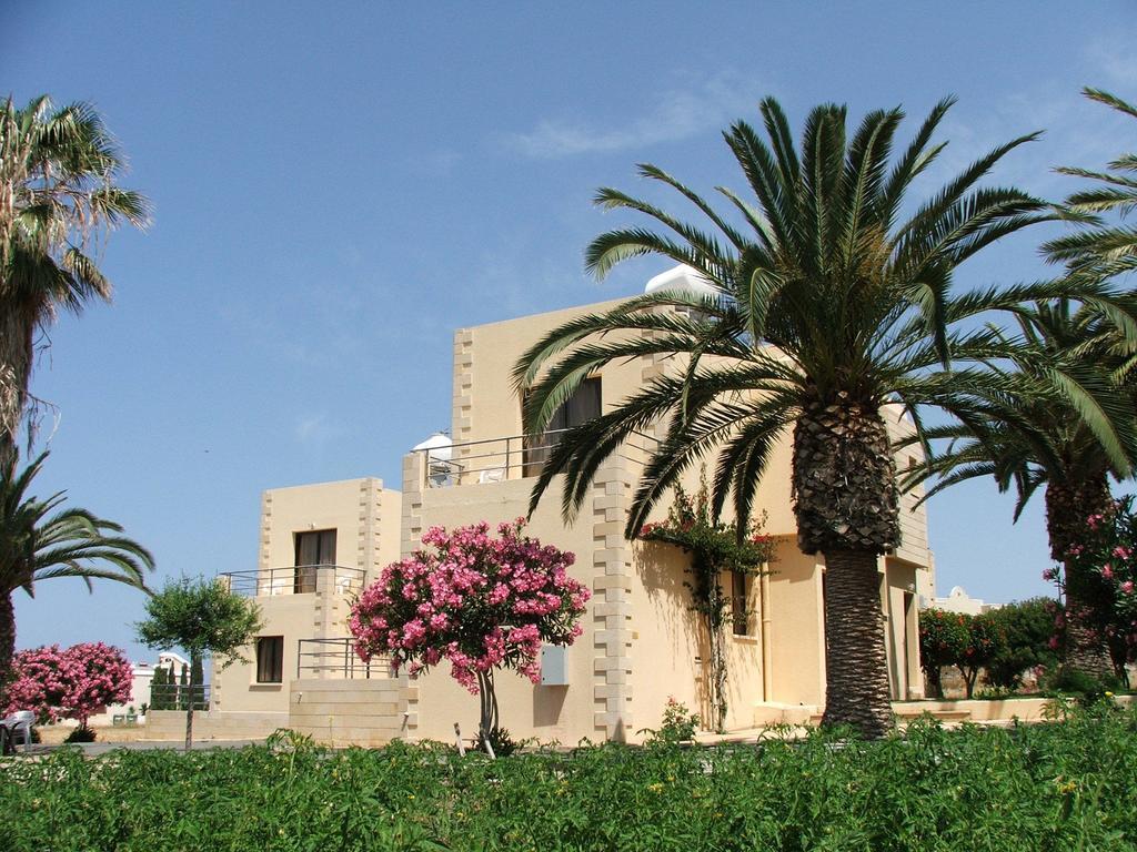 Dimma Seaside Houses Paphos Exteriér fotografie