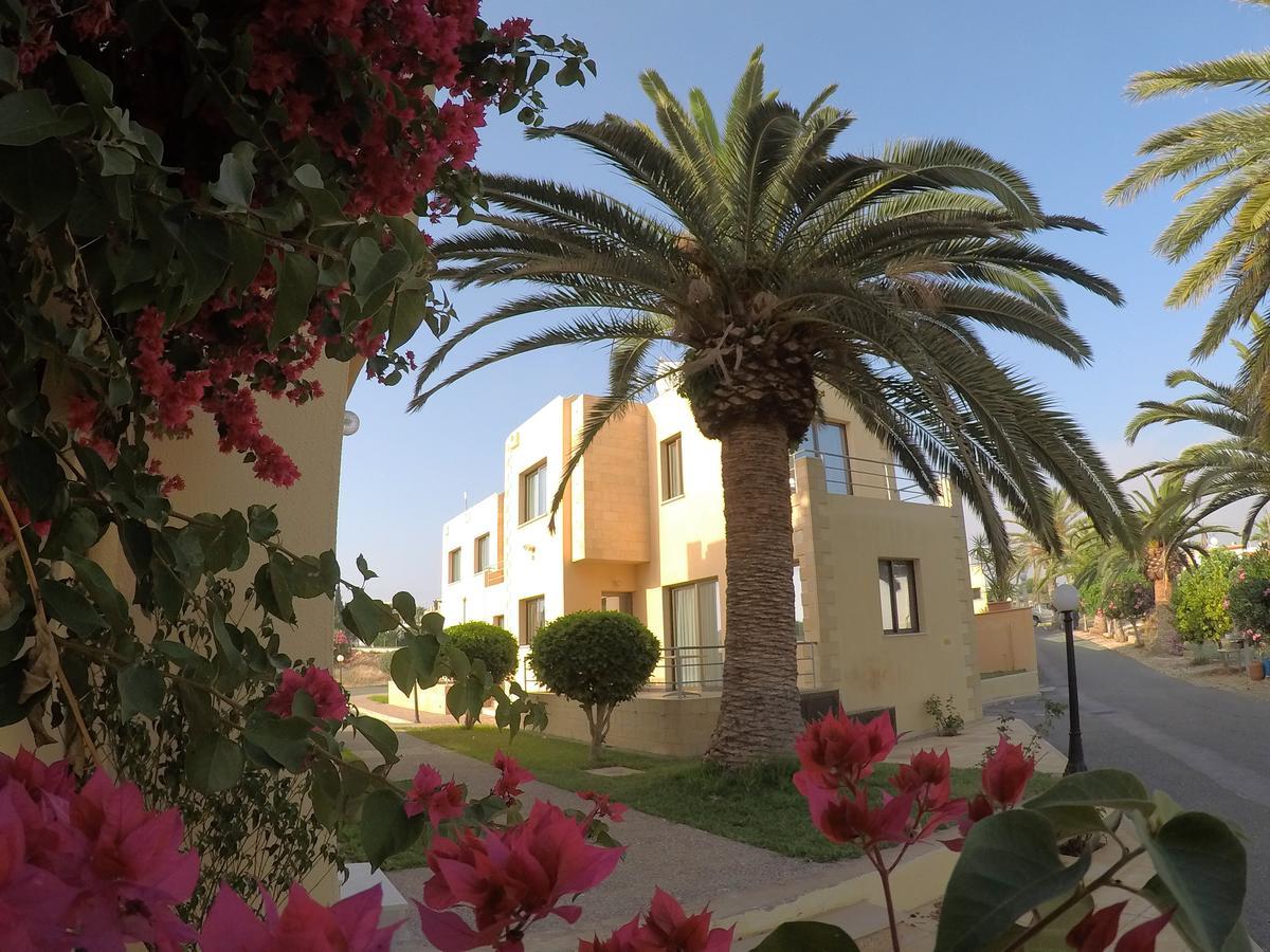 Dimma Seaside Houses Paphos Exteriér fotografie